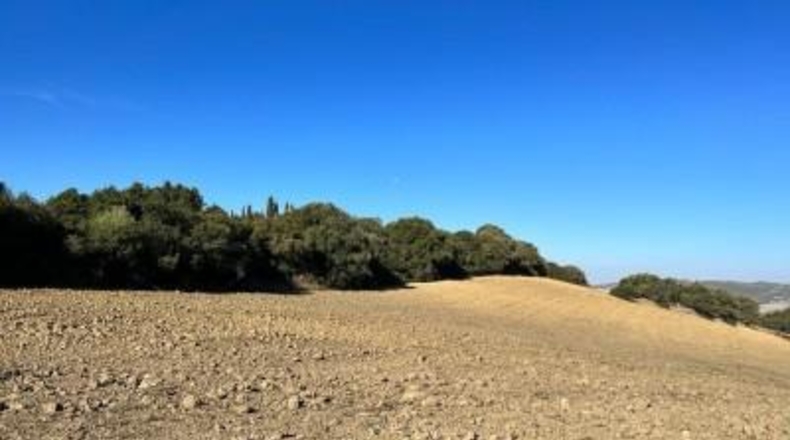 Cádiz - Vejer de la Frontera - 18000m2