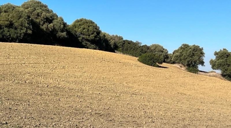 Cádiz - Vejer de la Frontera - 18000m2