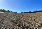 Chalet independiente con terreno en venta en la España, Vejer de la Frontera, ref: TR141252 foto