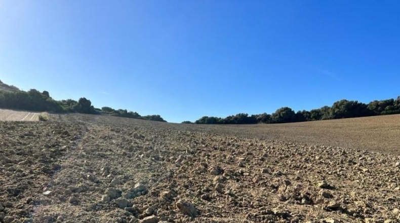 Cádiz - Vejer de la Frontera - 18000m2