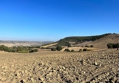Chalet independiente con terreno en venta en la España, Vejer de la Frontera, ref: TR141252 foto