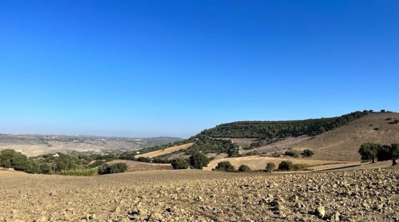 Cádiz - Vejer de la Frontera - 18000m2