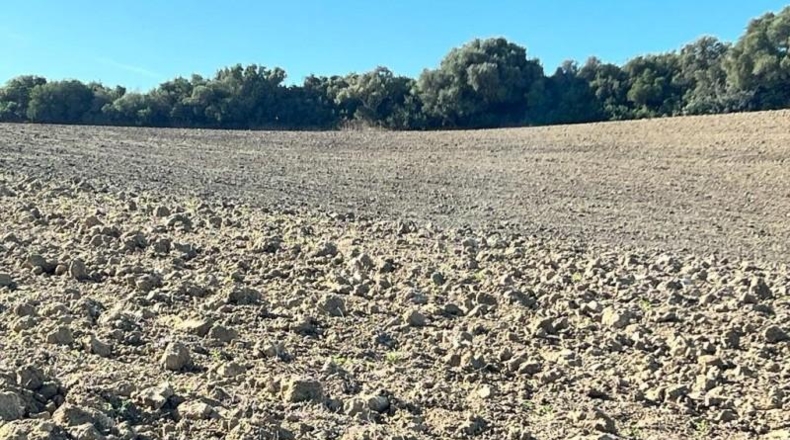 Cádiz - Vejer de la Frontera - 18000m2