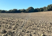 Chalet independiente con terreno en venta en la España, Vejer de la Frontera, ref: TR141252 foto