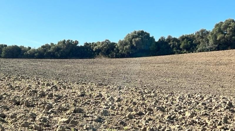 Cádiz - Vejer de la Frontera - 18000m2
