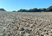 Chalet independiente con terreno en venta en la España, Vejer de la Frontera, ref: TR141252 foto