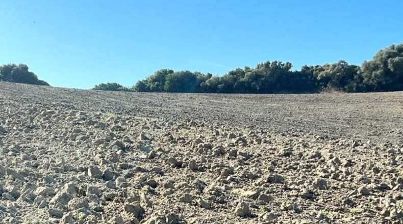 Cádiz - Vejer de la Frontera - 18000m2
