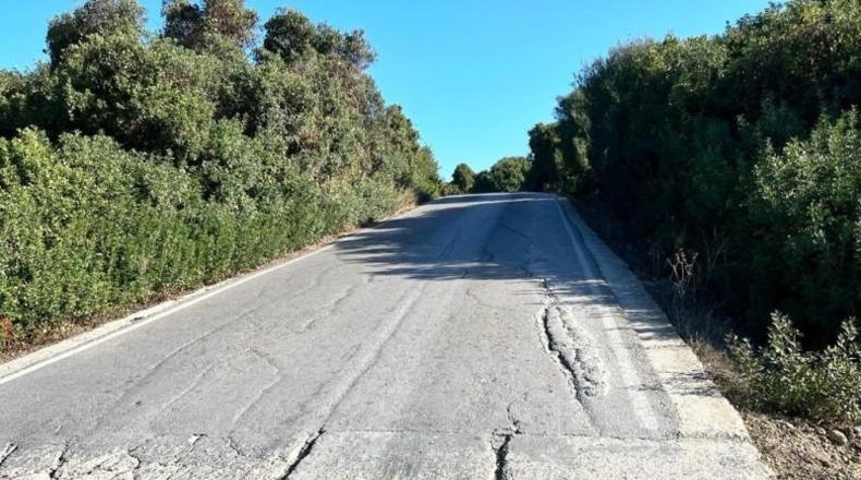 Cádiz - Vejer de la Frontera - 18000m2
