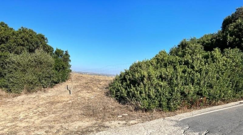 Cádiz - Vejer de la Frontera - 18000m2