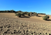 Chalet independiente con terreno en venta en la España, Vejer de la Frontera, ref: TR141252 foto