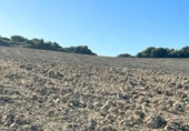 Chalet independiente con terreno en venta en la España, Vejer de la Frontera, ref: TR141252 foto