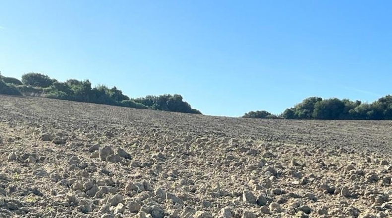 Cádiz - Vejer de la Frontera - 18000m2