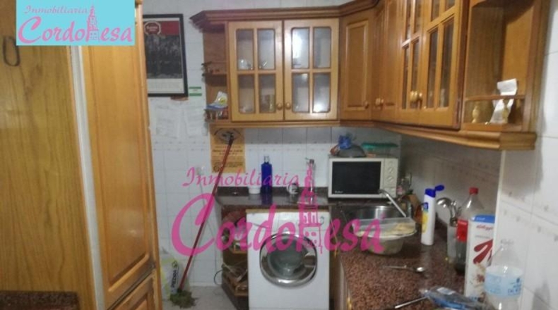 Córdoba - Córdoba - 548m2
