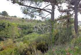 Begur 905&nbsp;м²