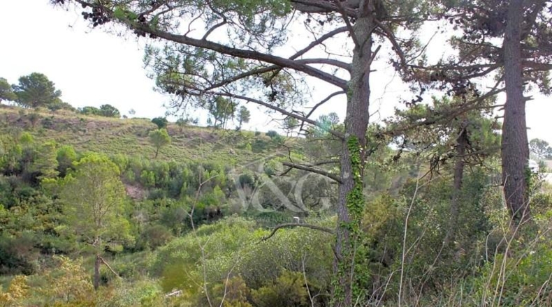 Gerona - Begur - 905m2