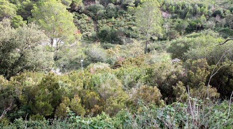 Gerona - Begur - 905m2
