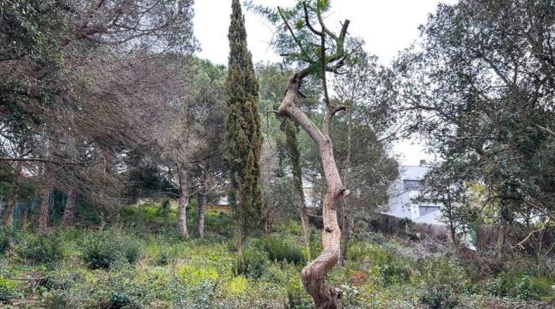 Gerona - Lloret de Mar - 1222m2