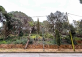 Terreny no urbanitzable en venda a la España, Lloret de Mar, ref.: TR238162 foto