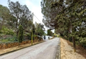 Terreny no urbanitzable en venda a la España, Lloret de Mar, ref.: TR238162 foto