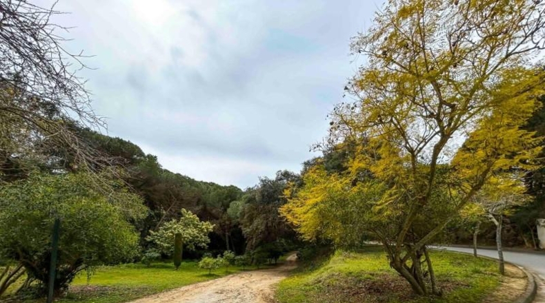 Gerona - Lloret de Mar - 1222m2