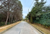 Terreny no urbanitzable en venda a la España, Lloret de Mar, ref.: TR238162 foto