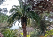 Terreny no urbanitzable en venda a la España, Lloret de Mar, ref.: TR238162 foto