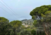 Terreny no urbanitzable en venda a la España, Lloret de Mar, ref.: TR238162 foto