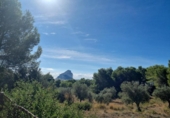 Terreny no urbanitzable en venda a la España, Calp, ref.: TR317805 foto