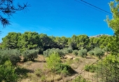 Terreny no urbanitzable en venda a la España, Calp, ref.: TR317805 foto