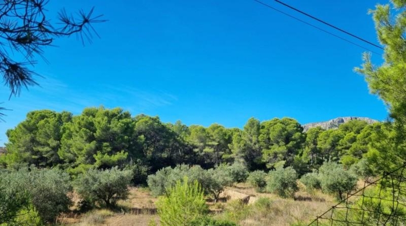 Alicante - Calpe - 17000m2