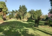 Finca rústica en venda a la España, Miengo, ref.: TR227063 foto