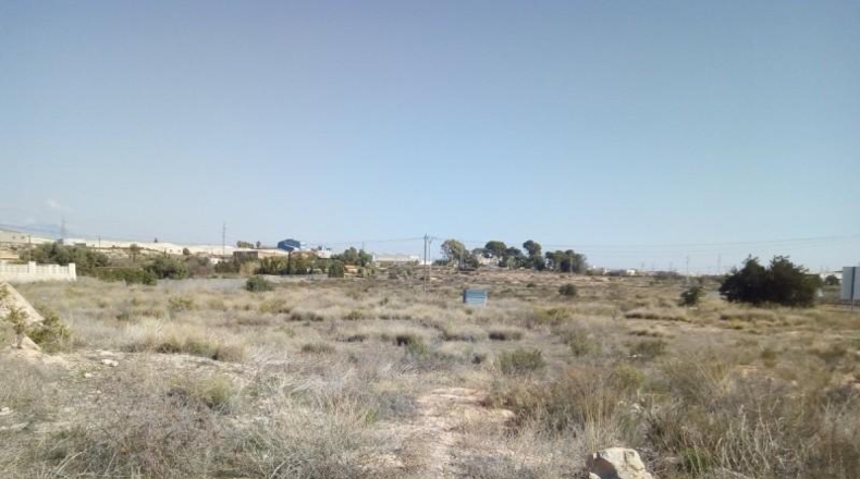 Alicante - San Vicente del Raspeig - 12304m2
