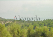 Parcela urbanizable en venta en la España, Alcúdia, ref: TR113479 foto