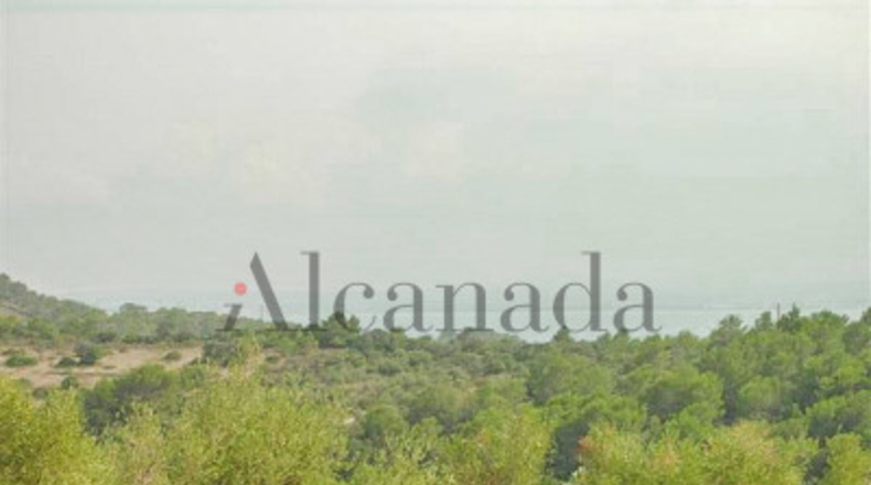 Balearic Islands - Alcudia - 1200m2