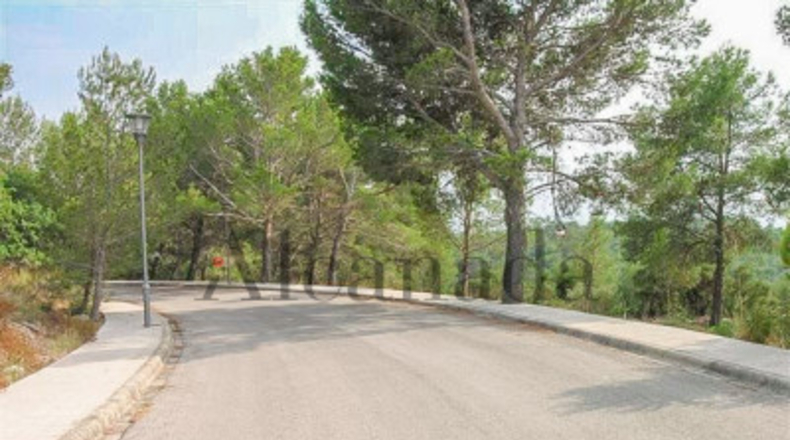 Balearic Islands - Alcudia - 1200m2