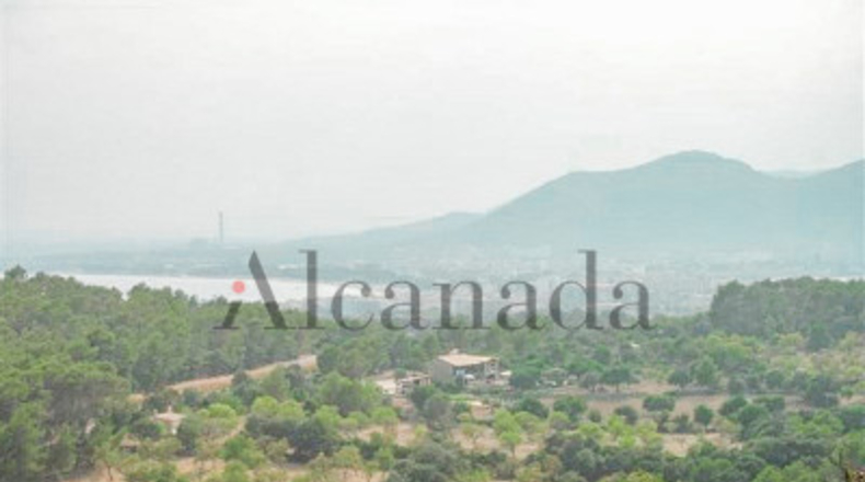 Balearic Islands - Alcudia - 1200m2