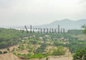 Parcela urbanizable en venta en la España, Alcúdia, ref: TR113479 foto
