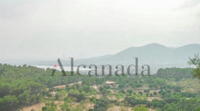 Balearic Islands - Alcudia - 1200m2