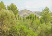 Parcela urbanizable en venta en la España, Alcúdia, ref: TR113479 foto