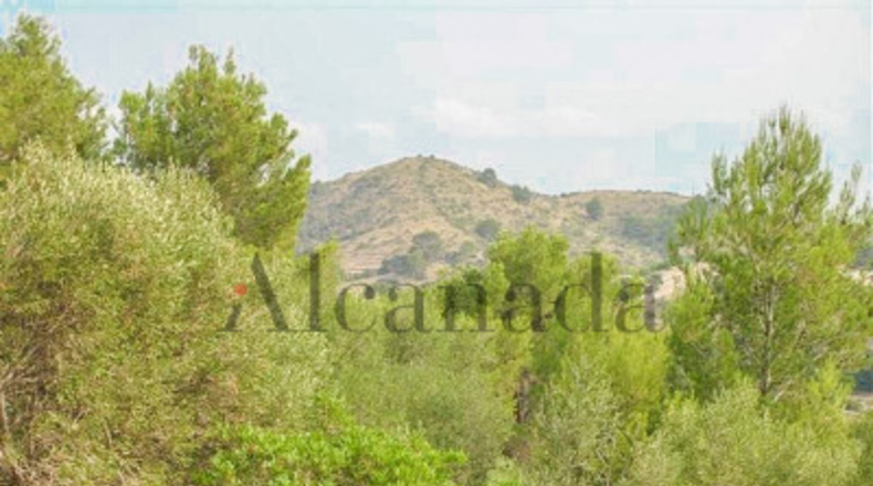 Balearic Islands - Alcudia - 1200m2