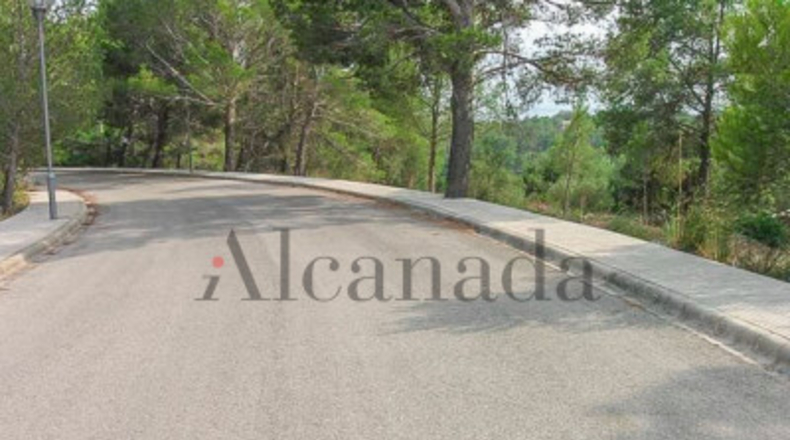 Balearic Islands - Alcudia - 1200m2