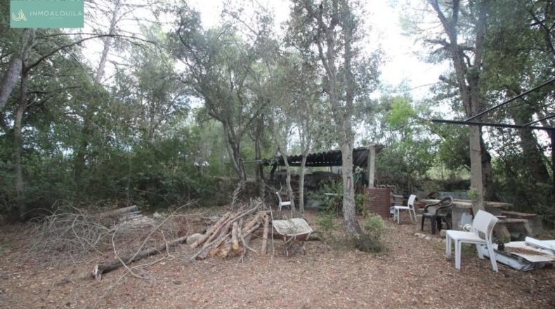 Islas Baleares - Sineu - 5632m2