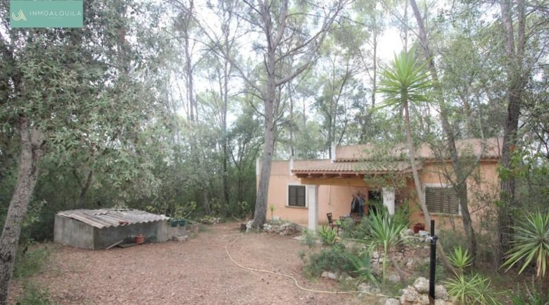 Islas Baleares - Sineu - 5632m2