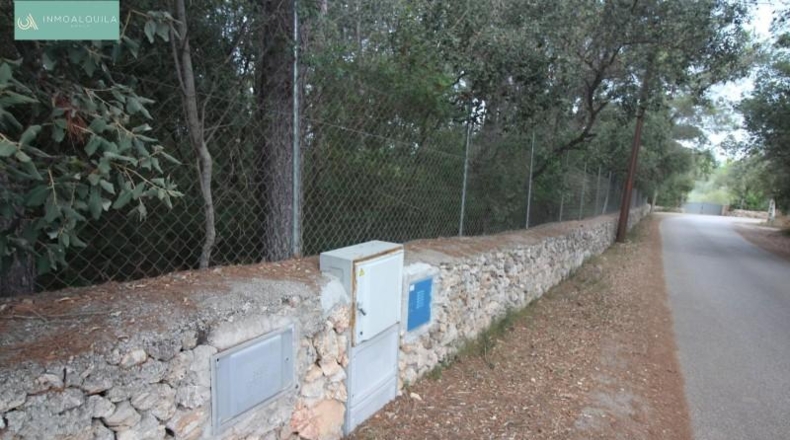 Islas Baleares - Sineu - 5632m2