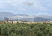 Parcela urbanizable en venta en la España, Sa Pobla, ref: TR313029 foto