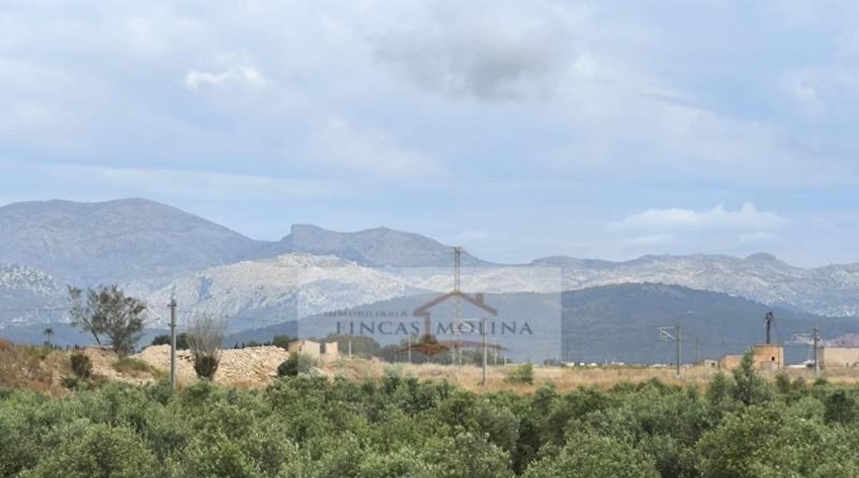 Valencia - la Pobla Llarga - 25349m2