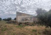 Parcela urbanizable en venta en la España, Sa Pobla, ref: TR313029 foto