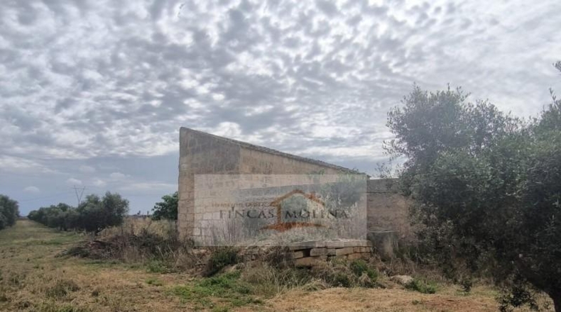 Valencia - la Pobla Llarga - 25349m2