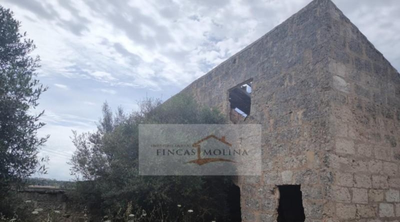 Valencia - la Pobla Llarga - 25349m2