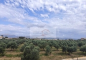 Parcela urbanizable en venta en la España, Sa Pobla, ref: TR313029 foto